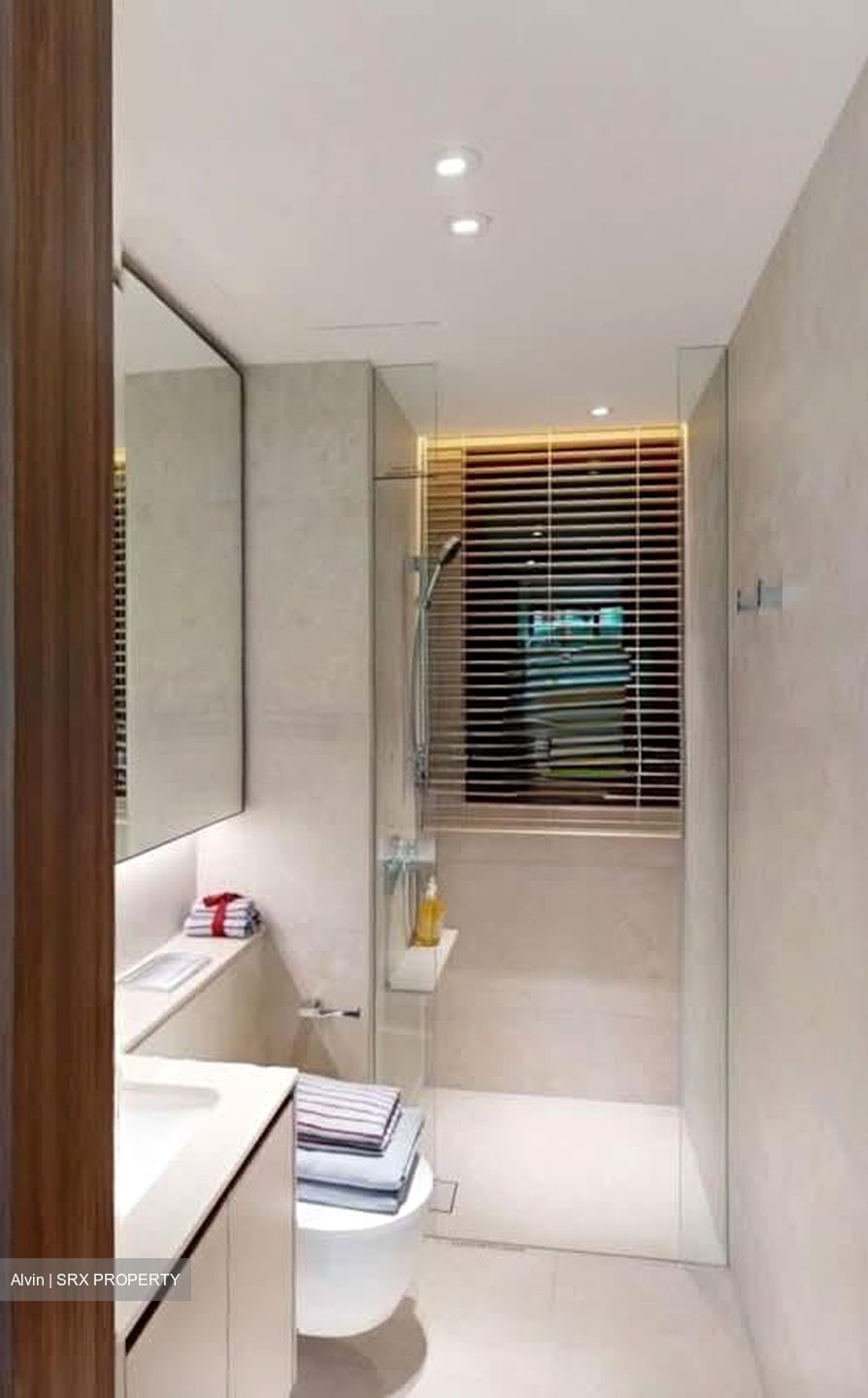 Dunearn Road (D11), Condominium #590925341